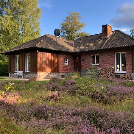 Landhaus Mitten In Der Lueneburger Heide ウンデロー エクステリア 写真