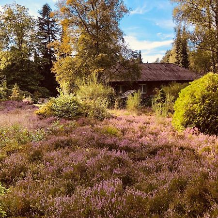 Landhaus Mitten In Der Lueneburger Heide ウンデロー エクステリア 写真