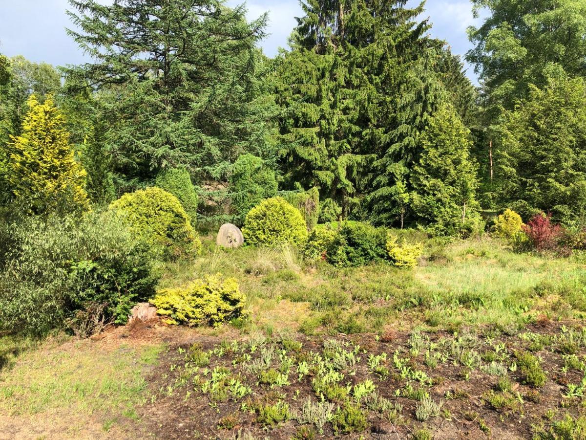 Landhaus Mitten In Der Lueneburger Heide ウンデロー エクステリア 写真