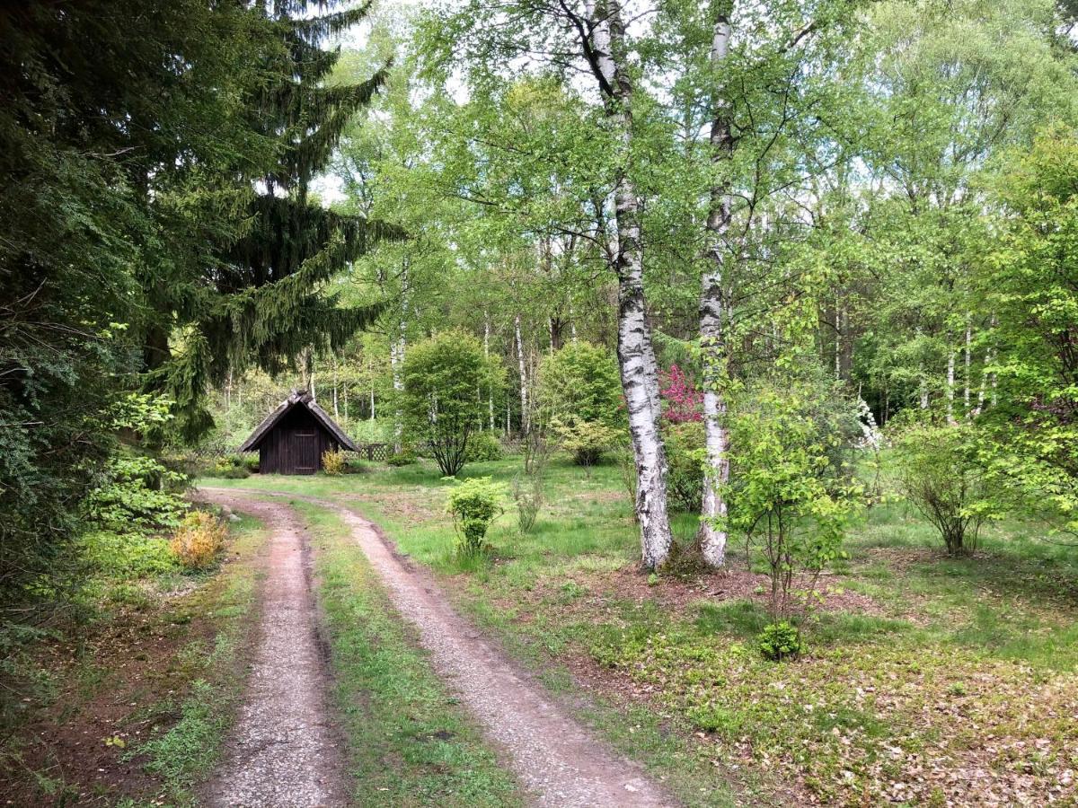 Landhaus Mitten In Der Lueneburger Heide ウンデロー エクステリア 写真