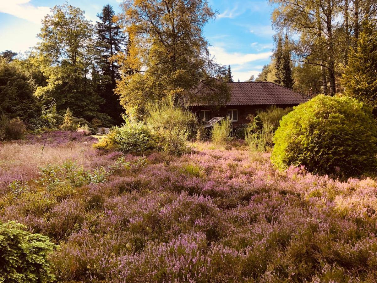 Landhaus Mitten In Der Lueneburger Heide ウンデロー エクステリア 写真