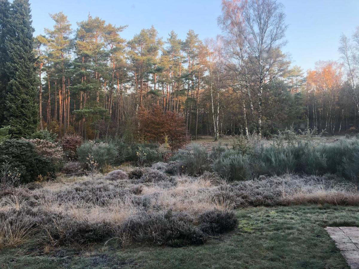 Landhaus Mitten In Der Lueneburger Heide ウンデロー エクステリア 写真