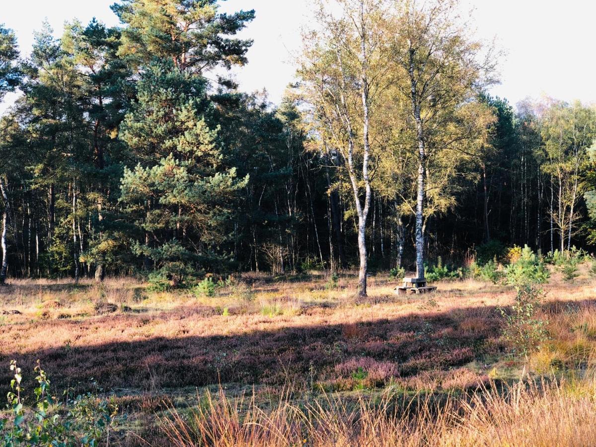 Landhaus Mitten In Der Lueneburger Heide ウンデロー エクステリア 写真